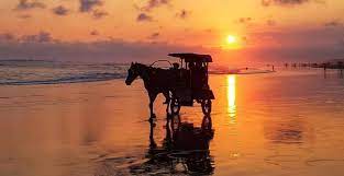 Jalan, kota, kota, paris, pemandangan kota, panorama, perjalanan, perancis pantai, laut, pantai, air, arsitektur, perahu, kaki langit, kota, tua, kota, dinding, pemandangan kota. Pantai Parangtritis Keindahan Yang Berbalutkan Misteri