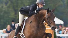 Ludwig's Corner Horse Show and Country Fair