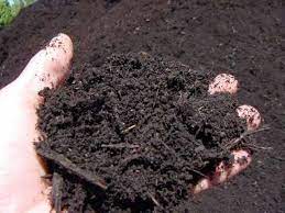 Bulk Bag Of Organic Compost - Soil Compost - Growers Shop Organic Compost Compost Soil Garden Soil Preparation