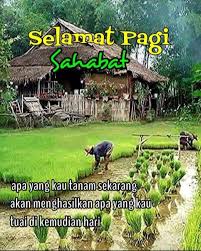 Gratis untuk komersial tidak perlu kredit bebas hak cipta. Pin Oleh Fenty Oktaviany Di 1pagi Di 2021 Selamat Pagi Tanaman Sahabat