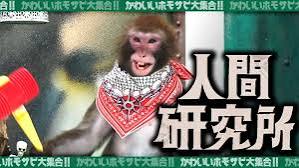 人間研究所 〜かわいいホモサピ大集合!!〜