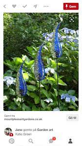 Pin By Galina On Sad In 2021 Glass Garden Art Fused Glass Art Glass Flowers