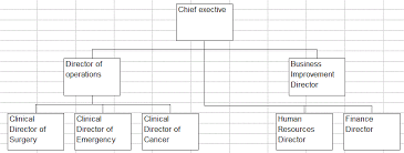 Creating Organisation Charts Using Excel