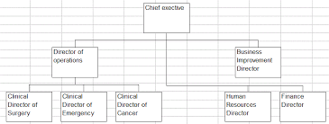 creating organisation charts using excel