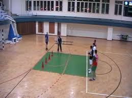 Entrainement Specifique Pour Les Pivots Handball Handball Basketball Court Sports
