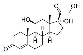 Corticosteroids Are Use To Treat Allergies And Other Illnesses And Have A Lot Of Side Effects This Article Discusses Cortisol Addisons Disease Cortisol Levels
