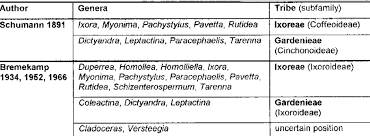 Image result for Fadogia schmitzii