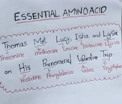 Pin By Sharjeel On Medical Biology Facts Exam Motivation Neet Exam
