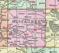 Missaukee County Michigan 1911 Map Rand Mcnally Lake City Mcbain Moddersville Morey Stittsville Stratford Star City M County Map Michigan Star City