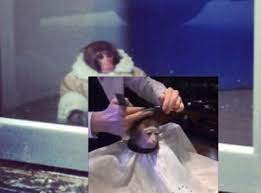 Monkey Haircut Meme Tumblr Monkeys Funny Memes Stupid Memes