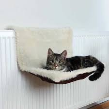 Kedi Yataklari Icin Petlebi Com Dan Sasmayin Kediler Ve Yavrulari Kedi Malzemeleri Evcil Hayvan Yataklari