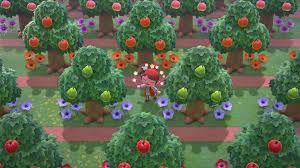 It S Not Much But I Love My Little Orchard Animalcrossing In 2020 Fruit Animals Animal Crossing Animal Crossing Game