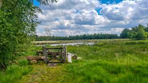 Door de steun van vele. Wandeling Doorheen De Wortel Kolonie 5 Km Effen Weg Vzw