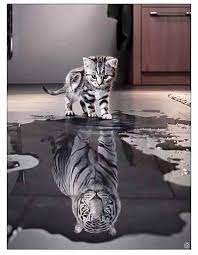 Kitty To Tiger Reflection Diamond Painting Cute Animals Animals Animals Beautiful