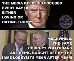Love Trump Hate Trump Love Term Limits For Us Congress Facebook