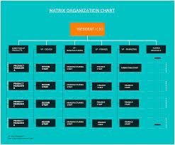 a matrix structure which shows people reporting to two