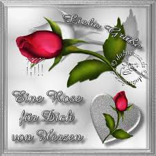 Https Encrypted Tbn0 Gstatic Com Images Q Tbn And9gcr39bl5zxt Zqg7e06j6iimg0wvnnd7bedpoa Usqp Cau