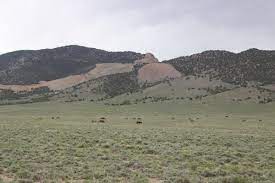Nevada Wild Horse Population Skyrockets To New High Kunr
