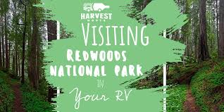 While this campground is not close to town or any stores, it is a great access point to the rest of the park. Visiting Redwoods National Park Unique Rv Camping With Harvest Hosts