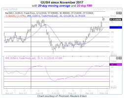 Big Week For Gush Adds Color To The Oil Rally