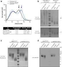 We did not find results for: Optimized Cell Systems For The Investigation Of Hepatitis C Virus E1e2 Glycoproteins Microbiology Society