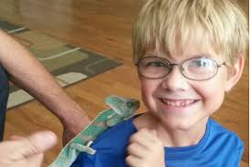 Fundraiser by Stephanie Stringer Laborde : cayden kidney transplant fund
