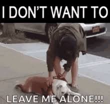 I Dont Want To Go Gifs Tenor