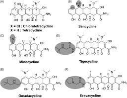 Image result for Tetracyclines