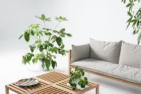 Upwork has the largest pool of proven, remote furniture design professionals. Designer Outdoor Furniture By 3lhd Umomoku Collection Archi Living Com