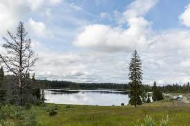 Image result for Haig Green 1929 Dodge