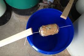 Does the diy mouse trap allow for a kill or no kill approach? Diy Five Gallon Bucket Mouse Trap Gentleman Homestead Bucket Mouse Trap Mouse Trap Best Mouse Trap