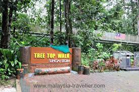 Tree top walk sungai sedim terletak didalam kawasan taman rekreasi arus deras sungai sedim iaitu didalam kawasan hutan simpan gunung inas, di daerah kulim, kedah. Tree Top Walk Sungai Sedim Kulim Kedah
