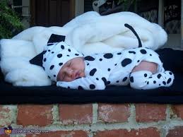 Images of the dalmatian puppies from the 101 dalmatians franchise. Pin On Halloween