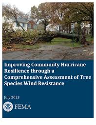 Image result for Lindackeria fragrans