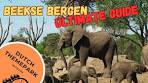 The Ultimate Beekse Bergen Guide: Tips for a Perfect Safari ... - YouTube