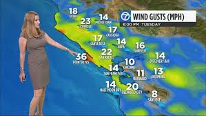 Image result for Lisa Argen KGO