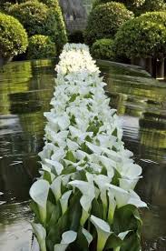 The Heartbook Beautiful Gardens Beautiful Flowers White Gardens