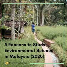 Maybe you would like to learn more about one of these? Study In Environmental Science Archives Excel Education Study Abroad Overseas Education Consultant