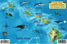 hawaiian islands reef creatures fish id card by frankos maps ltd