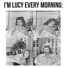 Literally Me No Joke I Love Lucy Show I Love Lucy Love Lucy