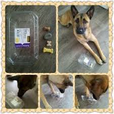 Give your puppy a toy and a treat with this knotted rope diy. 23 German Shepherd Ideas Diy Dog Stuff Dog Enrichment Diy Dog Toys