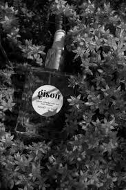 Gisou honey infused hair wash shampoo. Gisou Sowing Flowers For Honey Bees Rg Daily