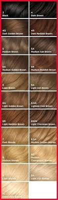 Clairol Perfect 10 Medium Ash Brown Shashank Sharma