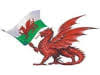 Any pest control company should provide full and detailed reports. Pest Vermin Control Services Near Conwy County Borough Council Get A Quote Yell