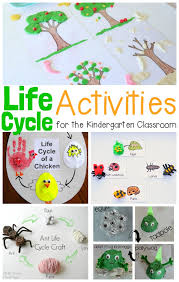 This post includes ideas for learning about the life stages of frogs in preschool. Must Try Life Cycle Activities For Kids