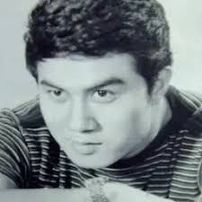 淩雲(Ling Yun)簡介及電影作品- Enjoy Movie