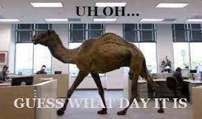 Leslie, guess what today is? Guess What Day It Is