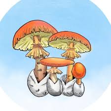 出席停止明けみたいな気分 | 主婦と占い師の間で運良く生きる