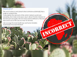 Well it goes without saying that dodging all of the cacti didn't exactly happen on this adventure… get ready to witness one of the worst cactus attacks you've ever seen! Cactus Juice No Cure For Snake Bites And Scorpion Stings Africa Check