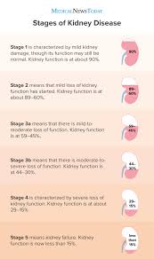 Differentiation of aki from chronic renal disease can be difficult but can be accomplished by assessment of clinical signs, laboratory features and history. Kidney Failure Types Symptoms Causes And Treatment